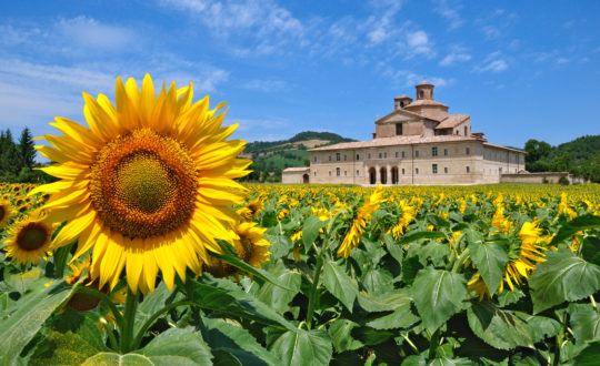 Campings in Le Marche