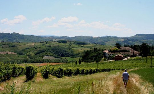 Klimaat in Le Marche