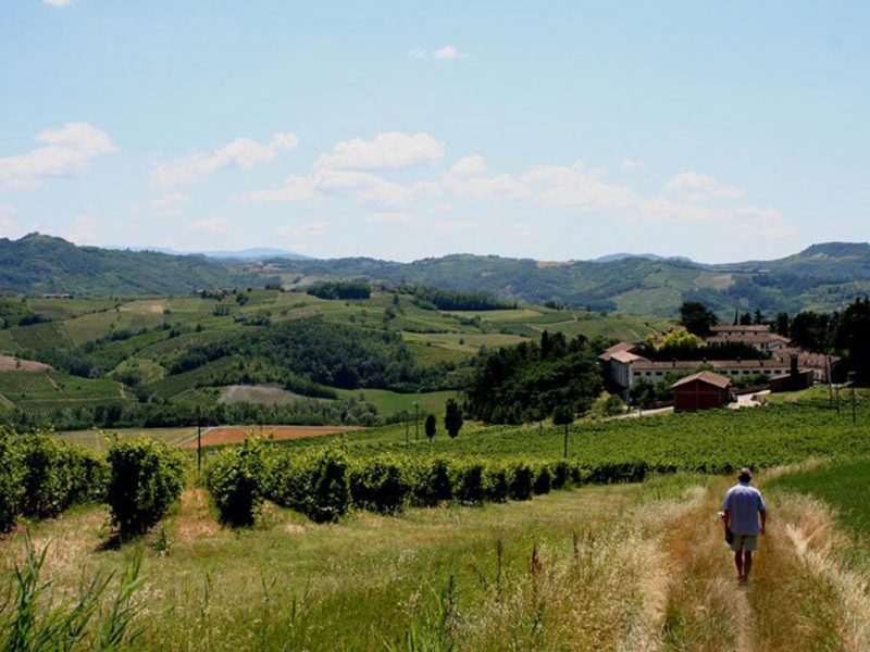 Agriturismo5