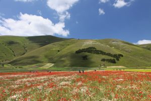 Le Marche - Piano Grande