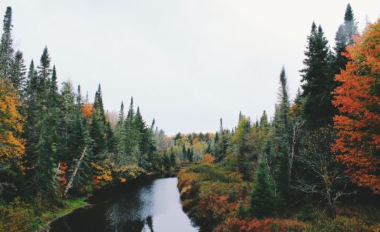 Waarom de herfst de beste tijd is om Le Marche te bezoeken!