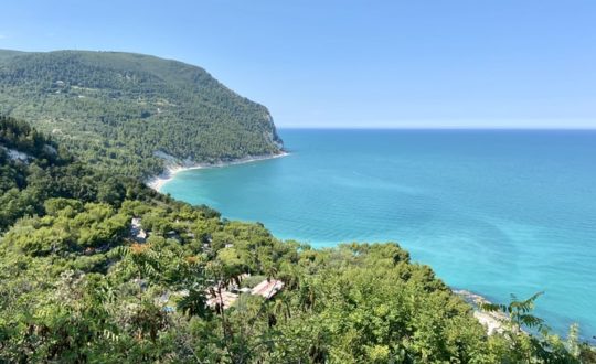 Alles over Le Marche