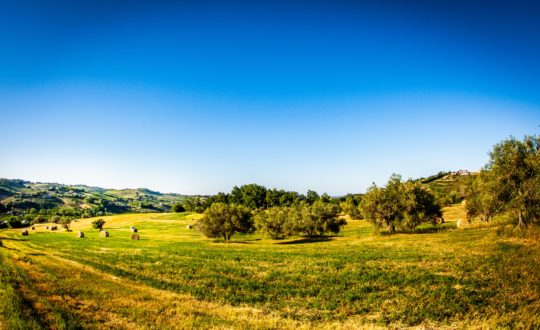 Le Marche ontdekken? Denk dan aan deze tips!